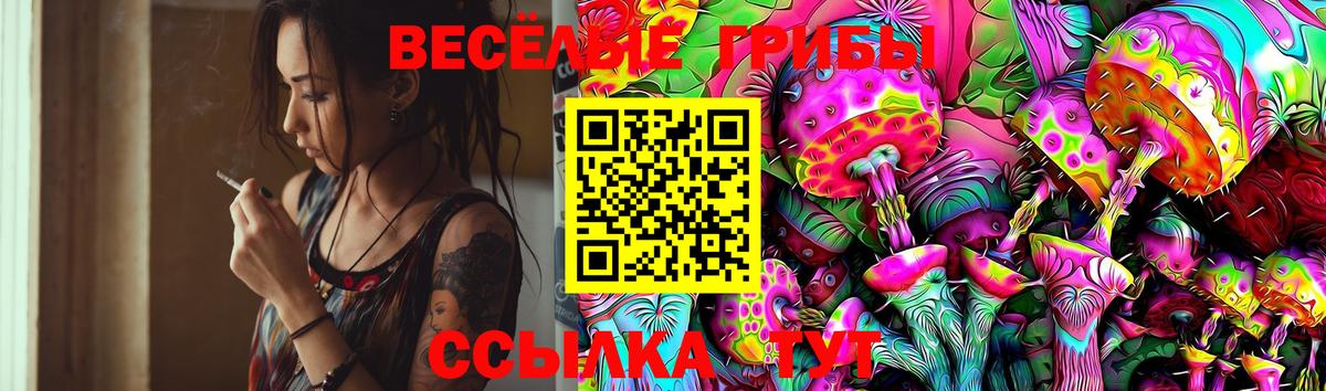 Галлюциногенные грибы прущие грибы Хасавюрт