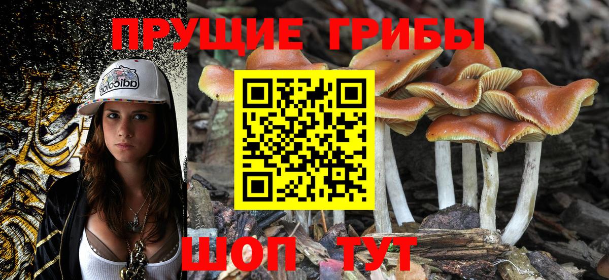 Хасавюрт  Псилоцибиновые грибы Cubensis  купить наркотики цена  Вход с VPN 